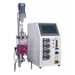 γυάλινος αντιδραστήρας ενζύμων