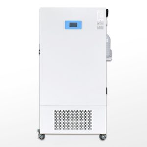 θάλαμος υγρασίας