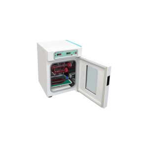 θερμοκοιτίδα υβριδοποίησης