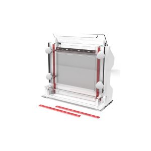 ηλεκτροφόρηση αλληλουχίας νουκλεϊκών οξέων κύτταρο