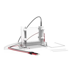 Κυψέλη κάθετης ηλεκτροφόρησης